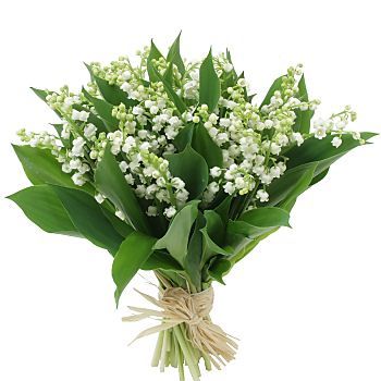 Lo muguet