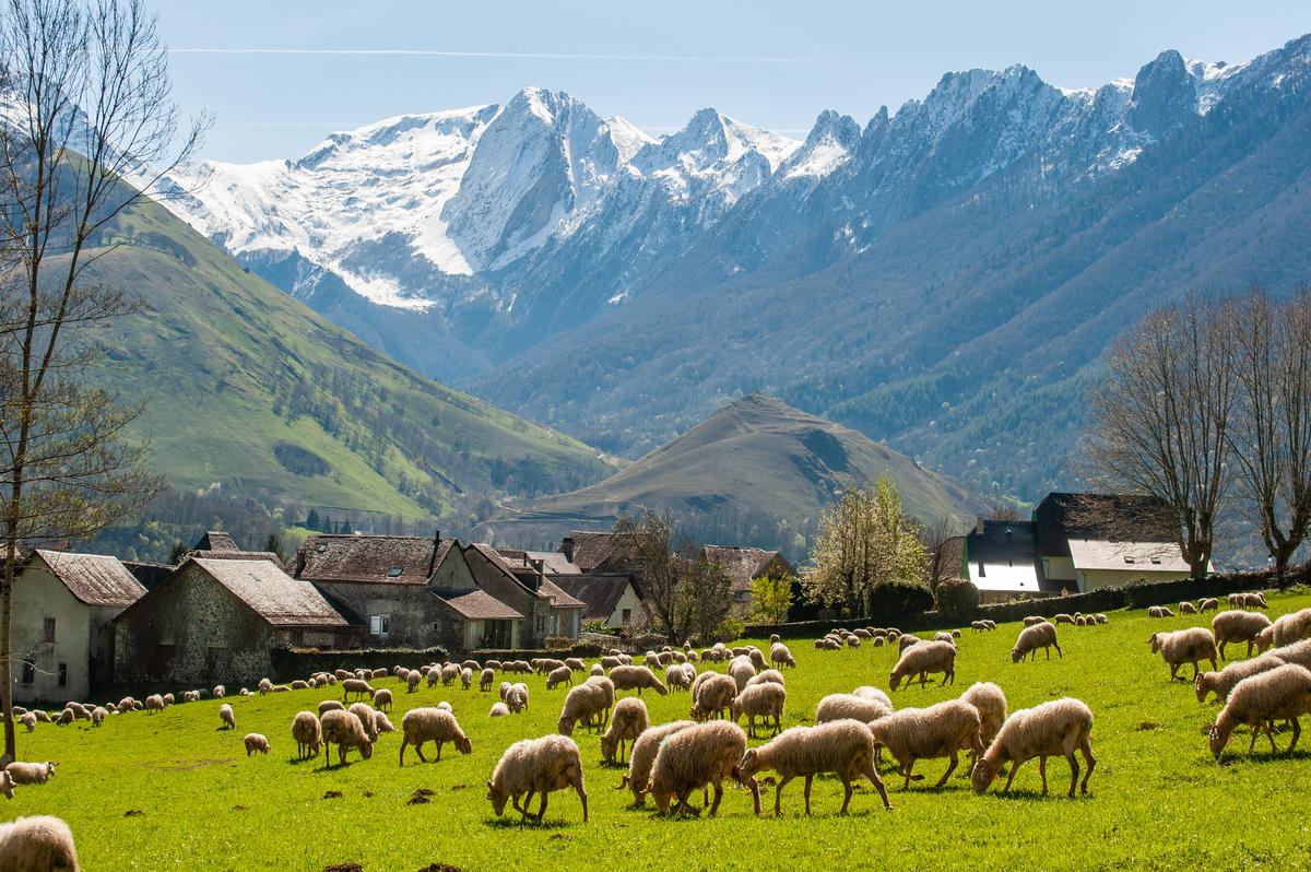Lo Sèrgi Mauhòurat, lo contaire de la vath d’Aspa.